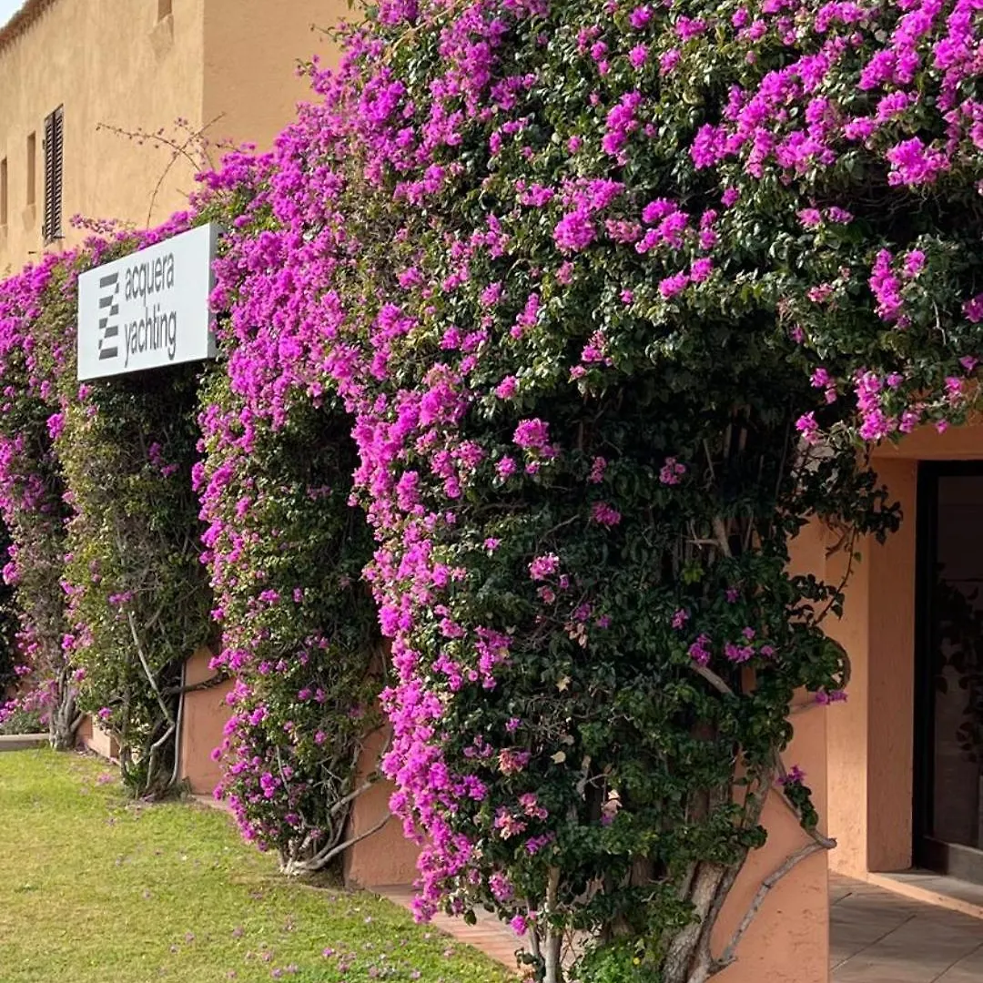 Quadrilocale Porto Cervo 아파트